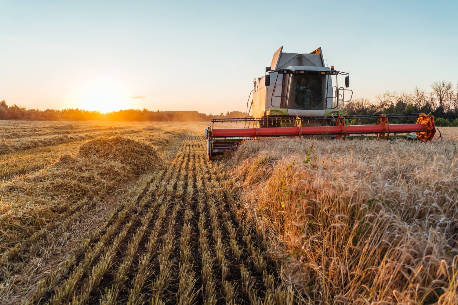 Agri Machinery